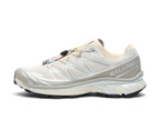 Salomon XT-6 (Rainy Day / Paloma